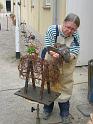 Widder